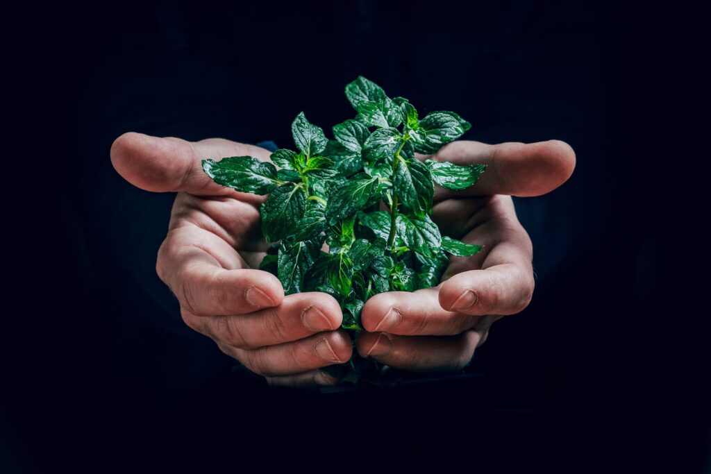 В Минске пройдет международная экологическая выставка Ecology Expo — 2025